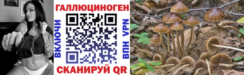 Галлюциногенные грибы Cubensis  Красноуфимск 