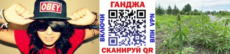 Конопля семена  купить   Красноуфимск 